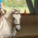 Ruth Giffels Reitkurs August 2016