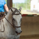 Ruth Giffels Reitkurs August 2016