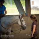 Ruth Giffels Reitkurs August 2016