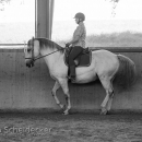 Ruth Giffels Reitkurs August 2016