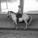 Ruth Giffels Reitkurs August 2016