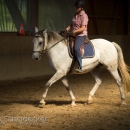 Ruth Giffels Reitkurs August 2016