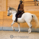 Maestoso Alea - Reitkurs mit Ruth Giffels