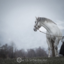 Winterspaziergang