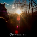 Abends im Roundpen
