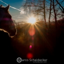 Abends im Roundpen