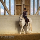 Barockes Reiten mit Richard Hinrichs April 2018
