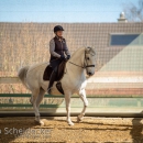 Barockes Reiten mit Richard Hinrichs April 2018