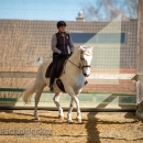 Barockes Reiten mit Richard Hinrichs April 2018