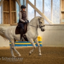 Barockes Reiten mit Richard Hinrichs April 2018