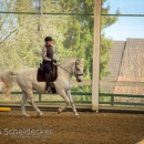 Barockes Reiten mit Richard Hinrichs April 2018