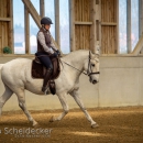 Barockes Reiten mit Richard Hinrichs April 2018
