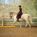 Barockes Reiten mit Richard Hinrichs April 2018