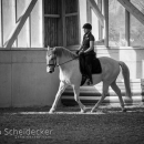 Barockes Reiten mit Richard Hinrichs April 2018