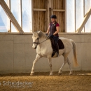 Barockes Reiten mit Richard Hinrichs April 2018