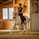 Barockes Reiten mit Richard Hinrichs April 2018