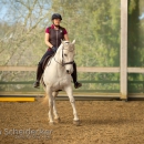 Barockes Reiten mit Richard Hinrichs April 2018