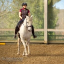 Barockes Reiten mit Richard Hinrichs April 2018