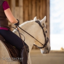Barockes Reiten mit Richard Hinrichs April 2018