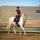 Barockes Reiten mit Richard Hinrichs April 2018