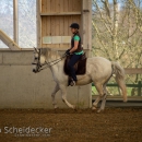 Barockes Reiten mit Richard Hinrichs April 2018