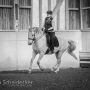 Barockes Reiten mit Richard Hinrichs April 2018