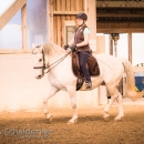 Barockes Reiten mit Richard Hinrichs April 2018