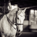 Desmond O'Brien Reitkurs Mai 2018