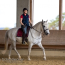 Desmond O'Brien Reitkurs Mai 2018
