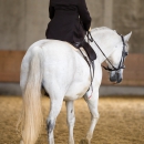 Desmond O'Brien Reitkurs Mai 2018