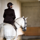 Desmond O'Brien Reitkurs Mai 2018