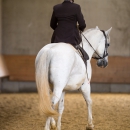 Desmond O'Brien Reitkurs Mai 2018