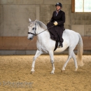 Desmond O'Brien Reitkurs Mai 2018