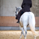 Desmond O'Brien Reitkurs Mai 2018