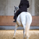 Desmond O'Brien Reitkurs Mai 2018