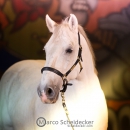 Ronja & M.Alea - Hallenshooting