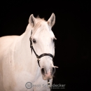 Ronja & M.Alea - Hallenshooting