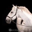 Ronja & M.Alea - Hallenshooting
