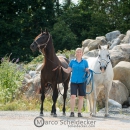 Minha Querida & Maestoso Alea