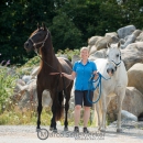 Minha Querida & Maestoso Alea
