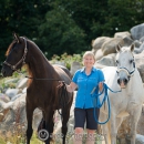 Minha Querida & Maestoso Alea