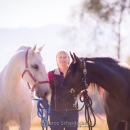 Minha Querida & Maestoso Alea