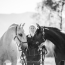 Minha Querida & Maestoso Alea