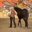 Swiss Indoor Mountain Trail - Minha Querida