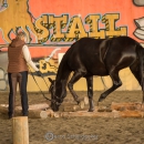 Swiss Indoor Mountain Trail - Minha Querida