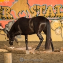 Swiss Indoor Mountain Trail - Minha Querida