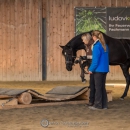 Swiss Indoor Mountain Trail - Minha Querida