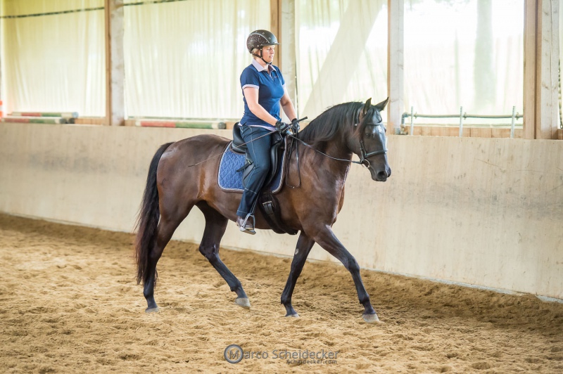 Desmond O'Brien - Reitkurs 2022