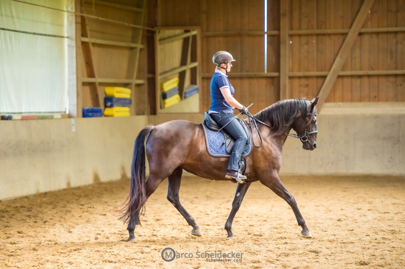 Desmond O'Brien - Reitkurs 2022
