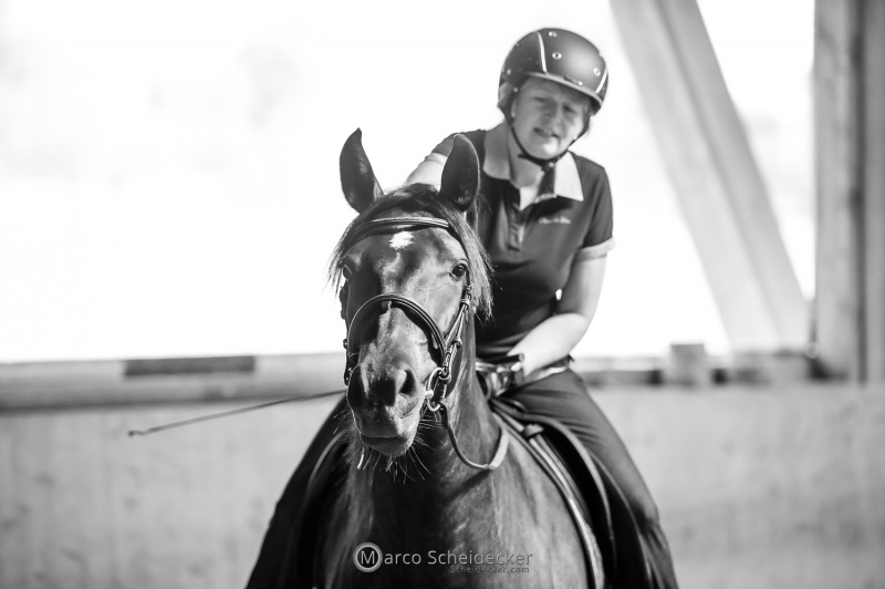 Desmond O'Brien - Reitkurs 2022